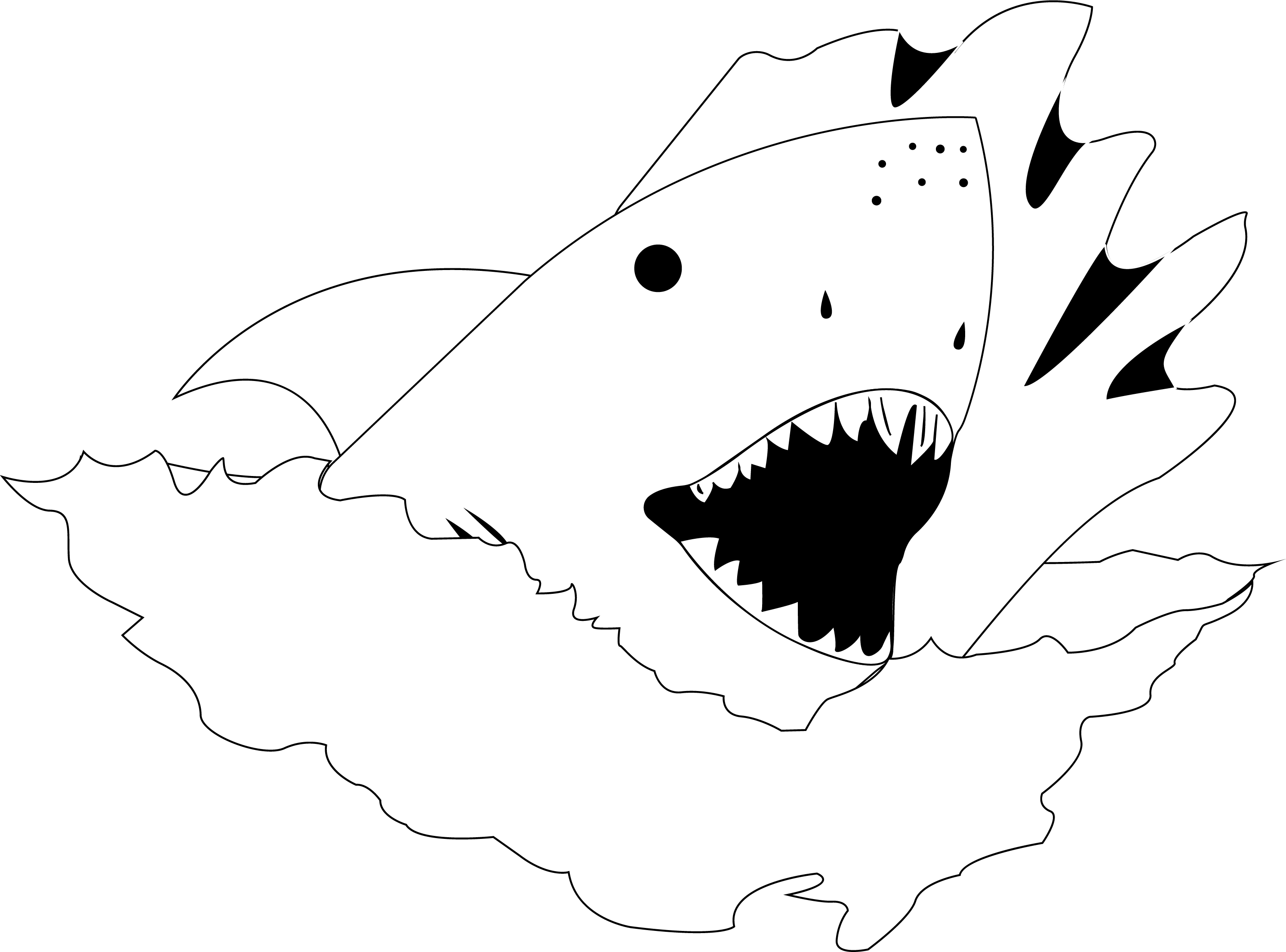 shark